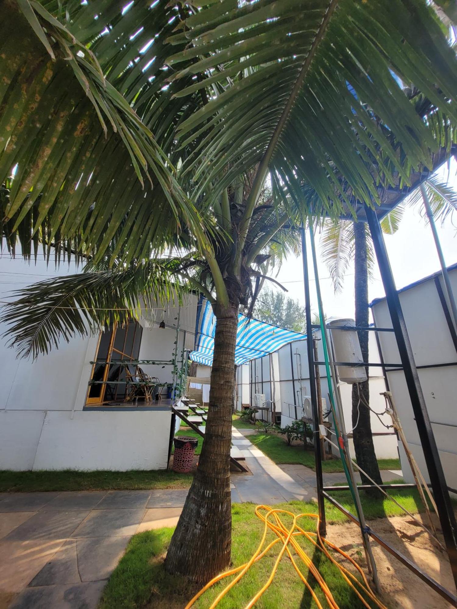 Bed & Breakfast Kashinath Huts